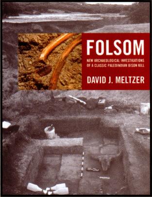 Reivew of folsum by David Meltzer book cover