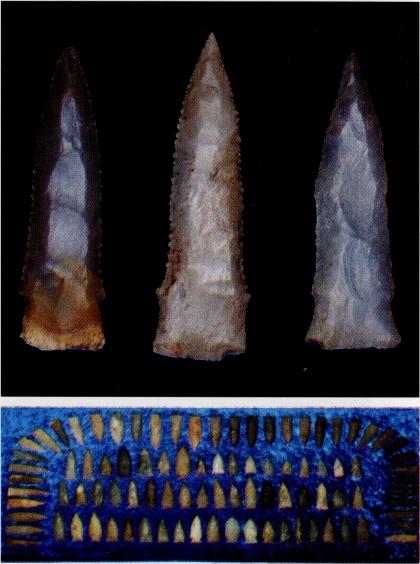 Tennessee Arrowheads Collections Point to the Past