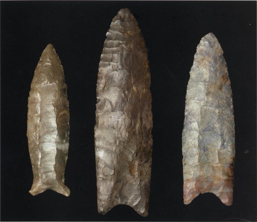 kentucky arrowhead identification